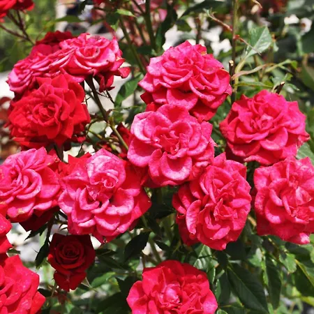 With Sea Views In A Gated Complex Вилла Криопиги