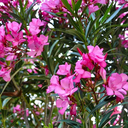 With Sea Views In A Gated Complex Вилла