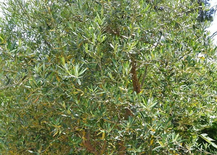 With Sea Views In A Gated Complex * 克里皮吉