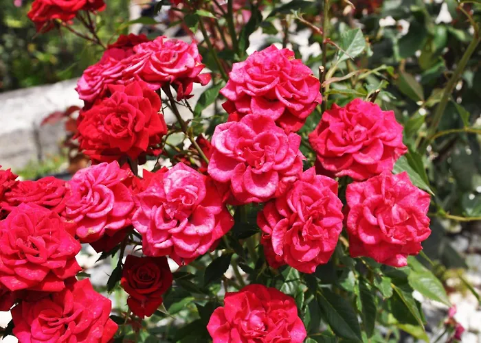 With Sea Views In A Gated Complex 别墅 克里皮吉