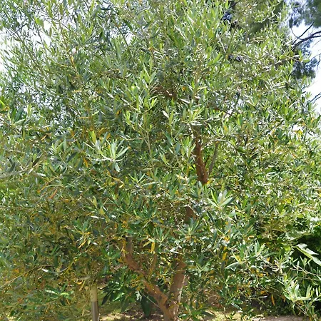 With Sea Views In A Gated Complex * Kryopigi