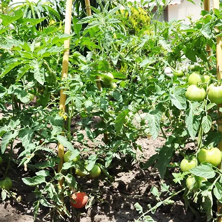 Villa With Sea Views In A Gated Complex