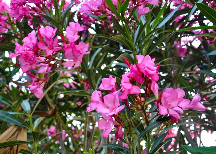 With Sea Views In A Gated Complex Villa