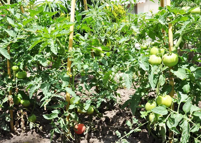 Villa With Sea Views In A Gated Complex